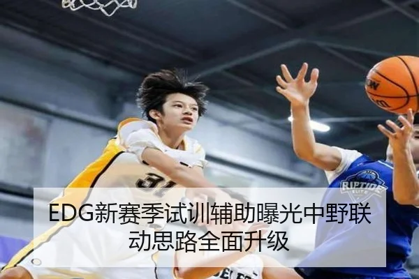 EDG新赛季试训辅助曝光中野联动思路全面升级 - BIWEISPORTSt